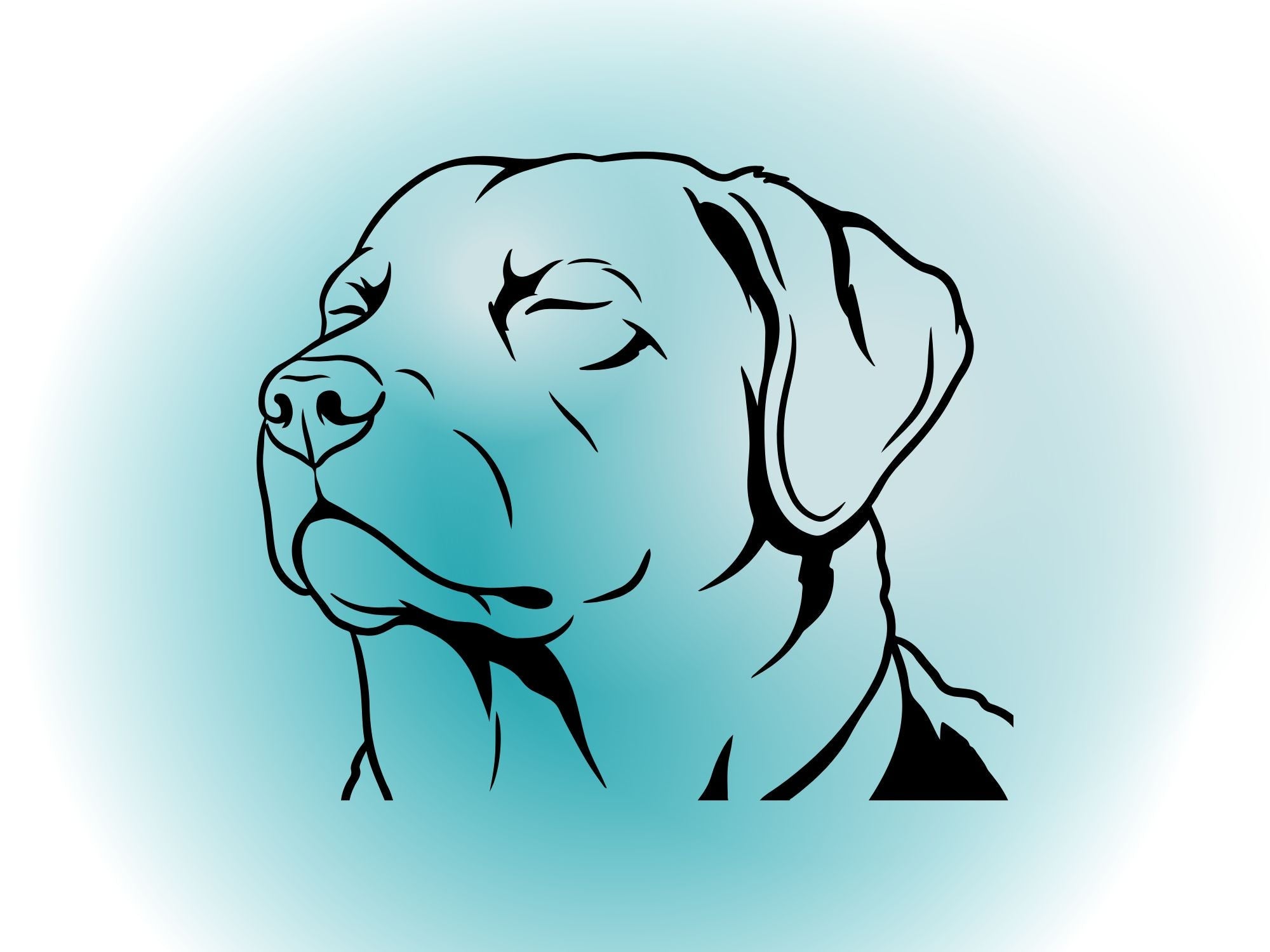 Birthday Cards for Dog Lovers