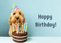 Cute Dog with Birthday Cake Digital Card, Instant Download - Send via Text or Email