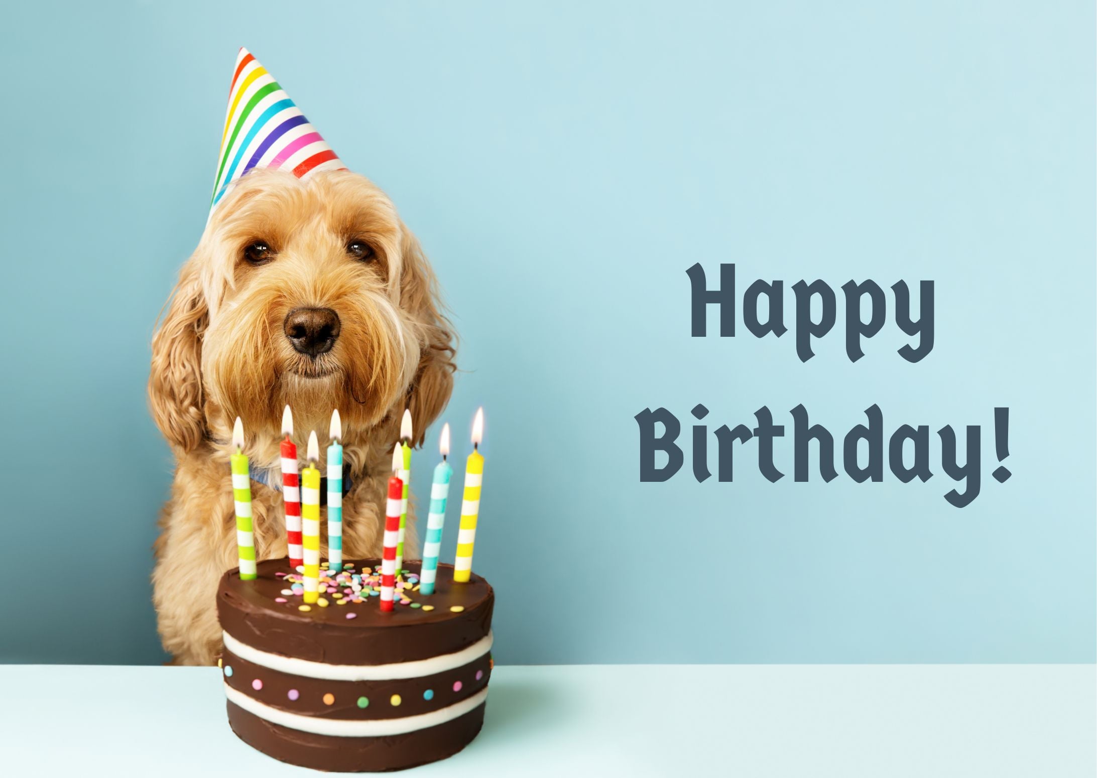 Cute Dog with Birthday Cake Digital Card, Instant Download - Send via Text or Email