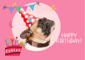 Funny French Bulldog Digital Birthday Card, Instant Download - Send via Text or Email