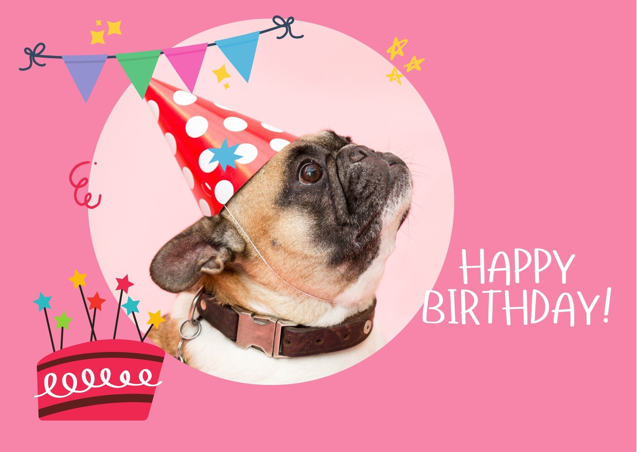 Funny French Bulldog Digital Birthday Card, Instant Download - Send via Text or Email