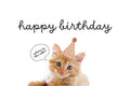 Funny Ginger Cat Digital Birthday Card - Instant Download