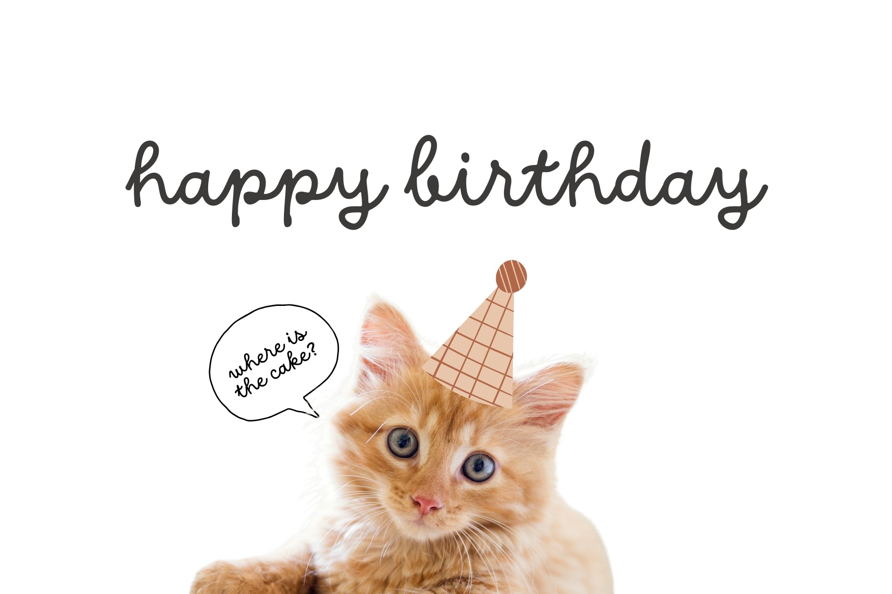 Funny Ginger Cat Digital Birthday Card - Instant Download