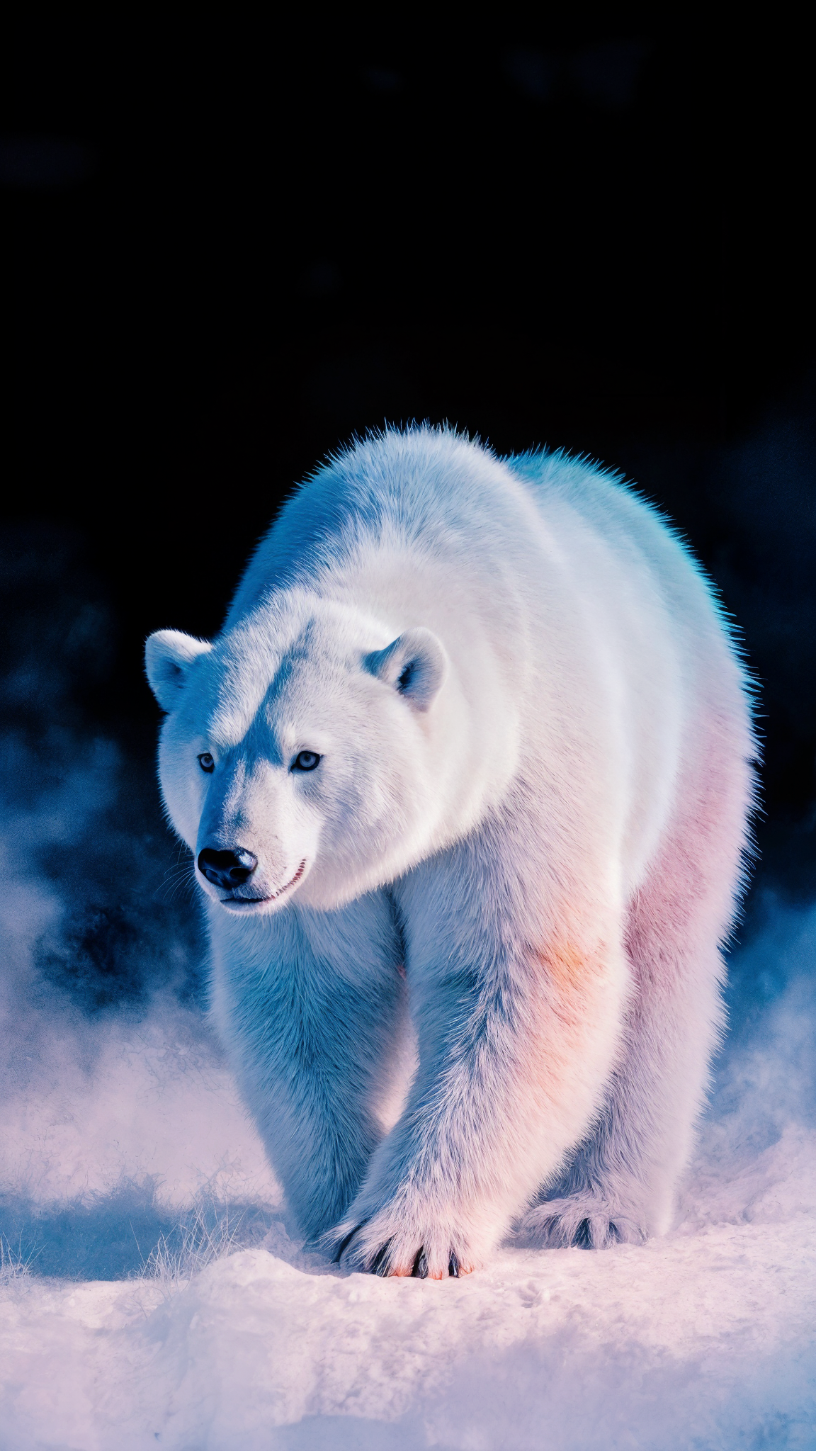 Arctic Majesty Polar Bear Wallpaper Pack – 3 High-Res 4K Mobile Backgrounds