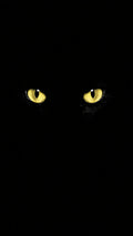 Black Cat Glowing Eyes Phone Wallpaper – 4K Ultra-High Resolution