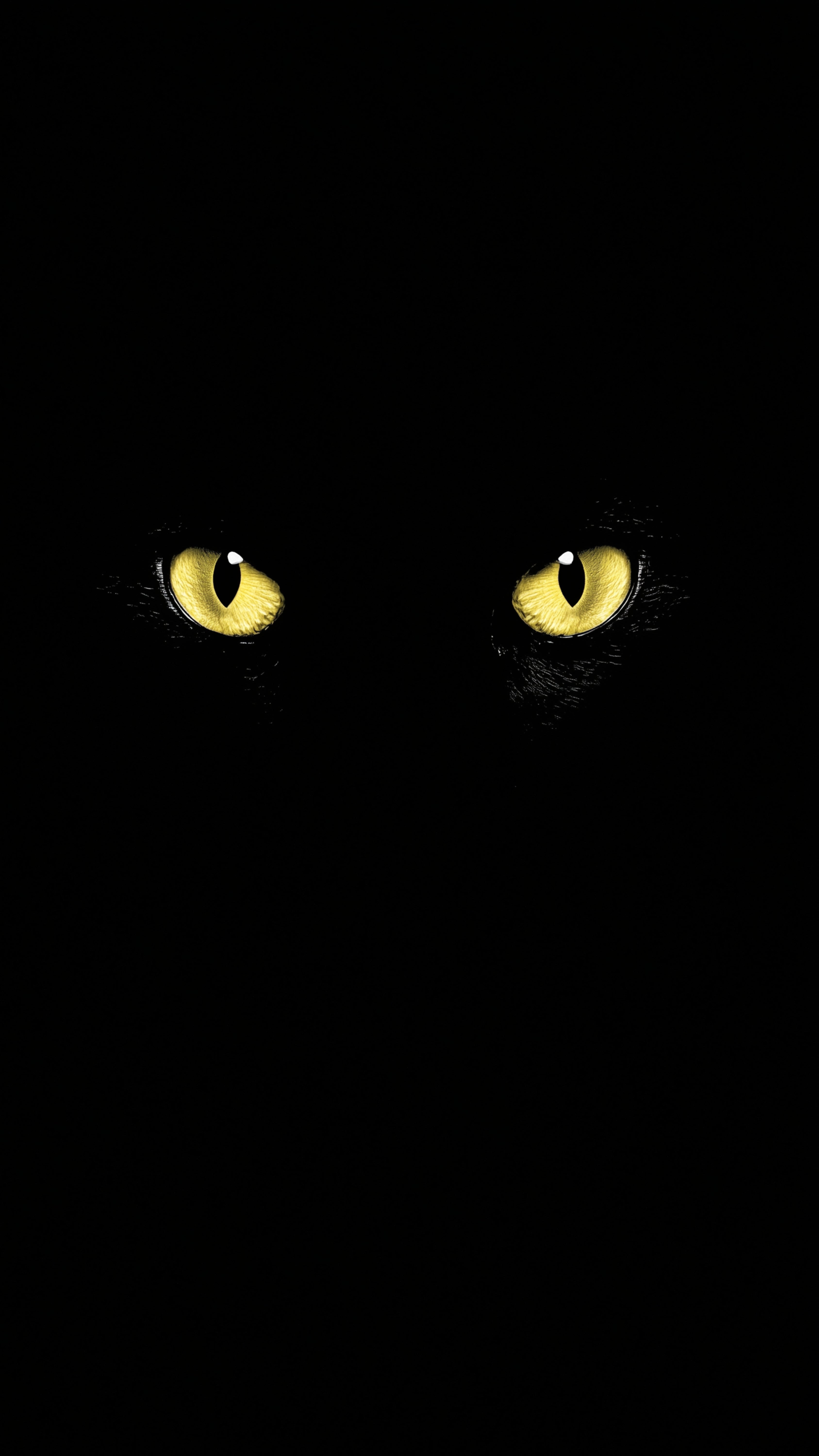 Black Cat Glowing Eyes Phone Wallpaper – 4K Ultra-High Resolution
