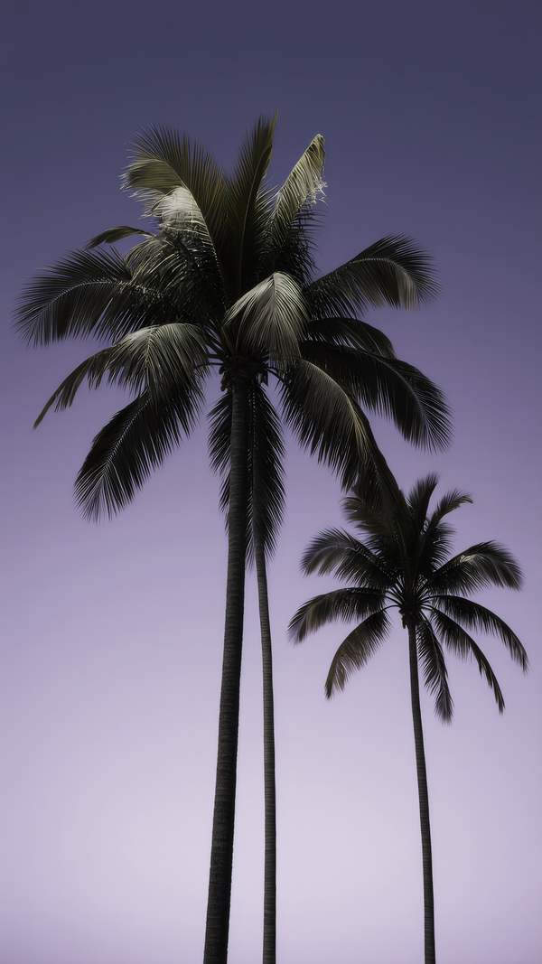 Minimalist Palm Silhouette Phone Wallpaper – 4K Digital Download